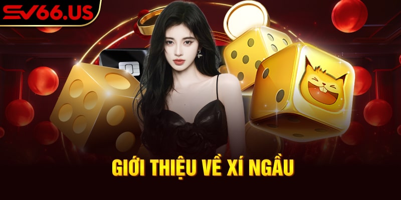 Thế nào là cách chơi xí ngầu uống rượu? Thế nào là cách chơi xí ngầu uống rượu?