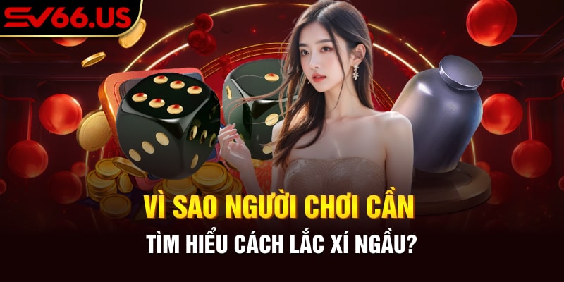 Cách Chơi Xí Ngầu Uống Rượu Từ Cao Thủ SV66