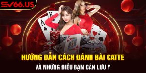 Hướng Dẫn Cách Đánh Bài Catte Và Những Điều Bạn Cần Lưu Ý