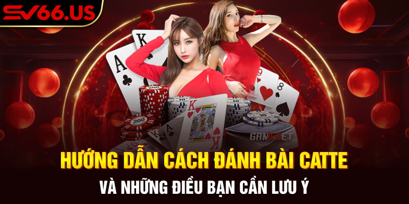 Hướng Dẫn Cách Đánh Bài Catte Và Những Điều Bạn Cần Lưu Ý