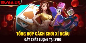 Tổng Hợp Cách Chơi Xí Ngầu Đầy Chất Lượng Tại SV66