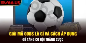 Giải Mã Odds Là Gì Và Cách Áp Dụng Để Tăng Cơ Hội Thắng Cược