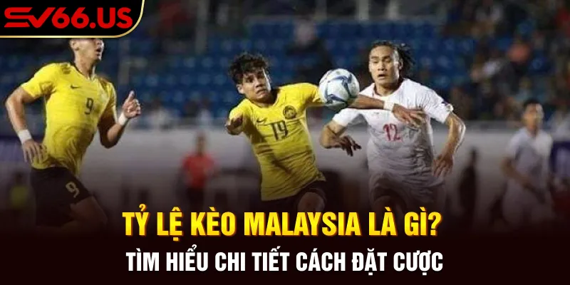 Tỷ Lệ Kèo Malaysia Là Gì? Tìm Hiểu Chi Tiết Cách Đặt Cược