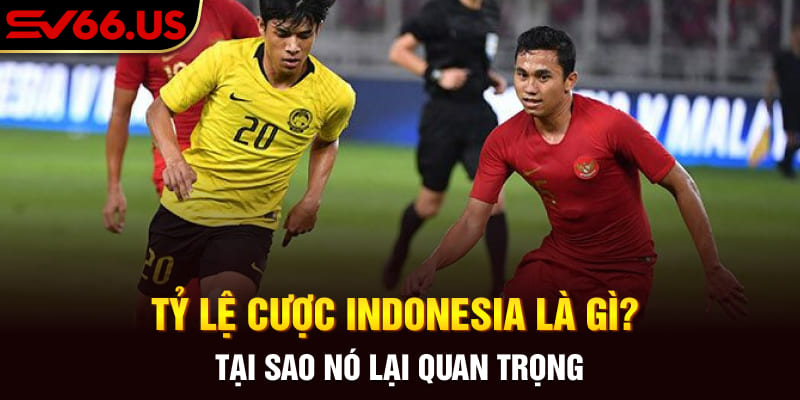 Tỷ Lệ Cược Indonesia Là Gì? Tại Sao Nó Lại Quan Trọng